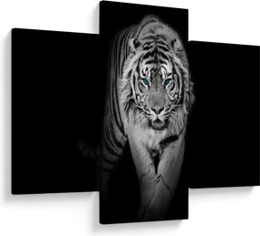 Kép - Tigris kék szemekkel (90x60 cm)