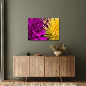 Kép - virág részlet (üvegen) (70x50 cm)