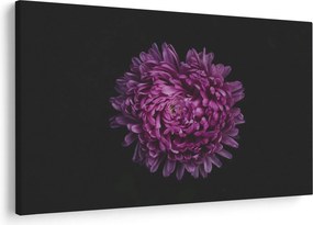 Lila virág képe (90x60 cm)