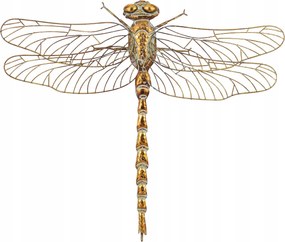 Szitakötő fém fali dekoráció – arany elegancia a belső térben