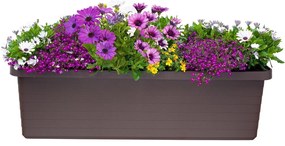 Plastia Berberis TRIO öntöző virágláda csokoládé, 117 cm