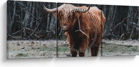 Kép - Skót tehén 2 (órával) (90x30 cm)