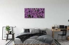 Canvas képek lila virágok 140x70 cm