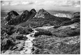 Poszterek 185x125 Tátra Lengyel hegyek Kilátás