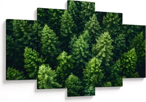 Kép - Forest (150x105 cm)