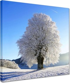 Vászonkép 30x30 Téli fa kép