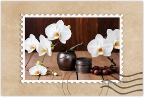 Poszterek 60x40 Fehér orchideák