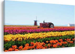 Tulipánfarm képe (90x60 cm)