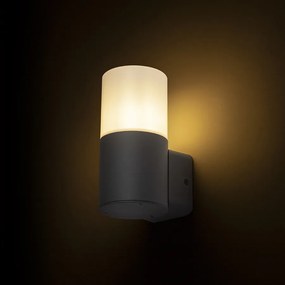 RENDL BONNIE fali lámpa antracit 230V LED E27 11W IP44