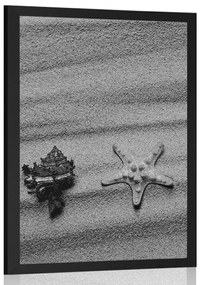 Poszter tengeri kagylók egy homokos tengerparton fekete-fehérben