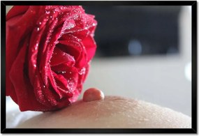 Poszterek keretben 60x40 Borotválkozás Akt Meztelenség Szex