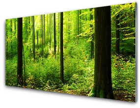 Üvegkép Green Forest Fák Természet 100x50 cm 4 fogas