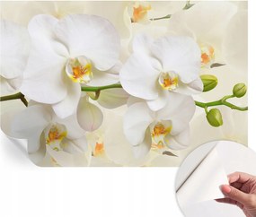 ĂntapadĂłs tapĂ©ta Fali furnĂ©r 3D hatĂĄs VirĂĄgos gazdagsĂĄg 104x70 cm