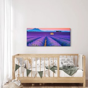 Kép - Levendula mező (120x50 cm)