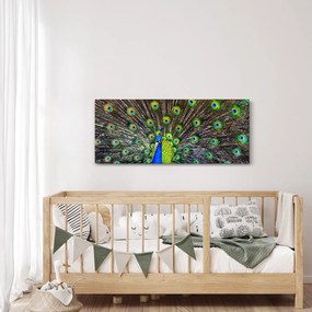 Kép - Páva (120x50 cm)