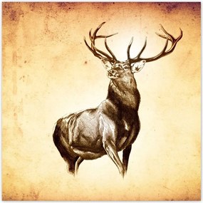 Poszterek 30x30 Szarvas szarvakkal