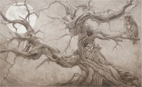 Fotótapéta Flizelina Nappali és Hálószoba Éjjeli madarak 416x254 Ragasztó