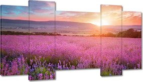 Képek 120x65 Nyugaton változatlan