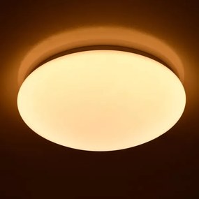Brilagi - LED Dimmelhető mennyezeti lámpa OPAL LED/24W/230V 3000/4000/6500K + távirányító