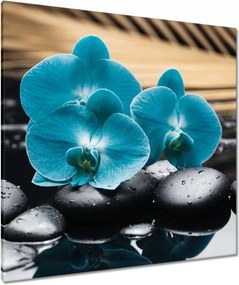 Vászonkép 90x90 Türkiz orchidea Virág