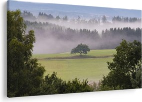 Egy kép a rétről egy fával (90x60 cm)
