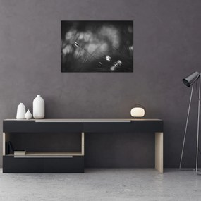 Kép - Mezei fű (70x50 cm)