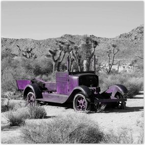 Poszterek 100x100 Lila autó Lövöldözős