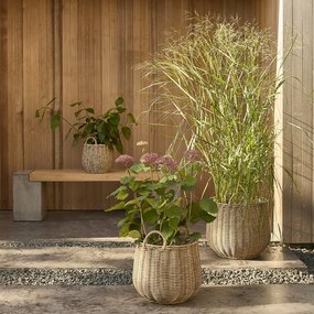 Tromar polirattan kaspó