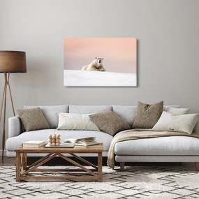 Kép - Jegesmedve (90x60 cm)