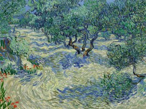 Festmény reprodukció Olive Orchard - Vincent van Gogh, (40 x 30 cm)
