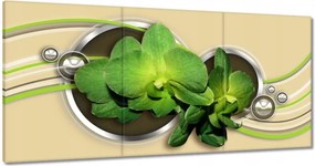 Vászonkép 180x90 Zöld orchidea