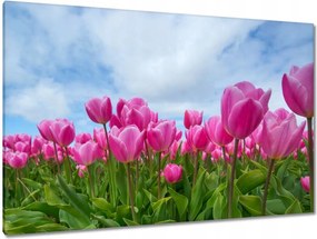 Képek 120x80 Tulipánok Valentin napra