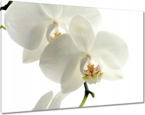 Vászonkép 100x70 Nőnap Ajándék Love