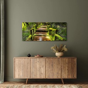 Lépcső az esőerdőben képe (120x50 cm)