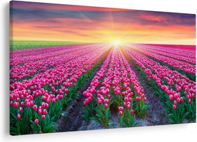 Tulipán mező és a nap képe (90x60 cm)