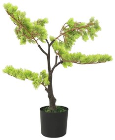 zöld cserepes mű ciprusbonsai 60 cm