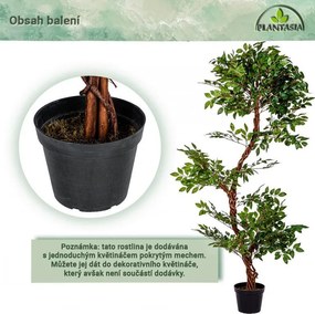 PLANTASIA Műnövény fikusz 160 cm