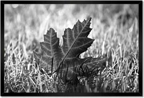 Poszterek keretben 60x40 Őszi levél a fűben