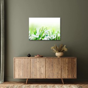 Kép - Hóvirág (70x50 cm)