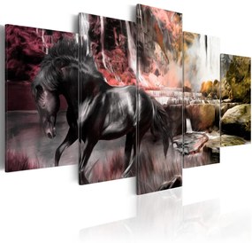 Vászonkép - Black horse on crimson sky background 200x100 cm 5 részes