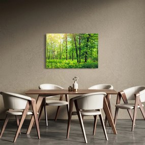 Kép - Tavaszi lomberdő (90x60 cm)