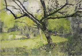 Flizelin fotótapéta Flizelin Design Tavaszi park 152x104 Ragasztó