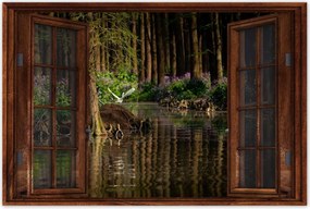 Poszterek 90x60 Tájkép Látvány