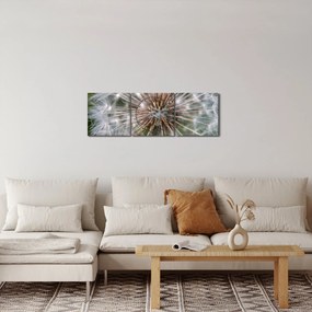 Pitypang képe (órával) (90x30 cm)