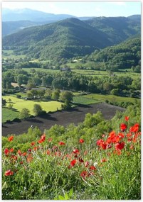 Poszterek 70x100 Virágos kilátás a hegyekben