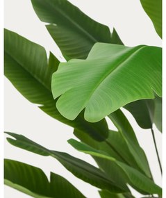 Banánfa műnövény (magasság 210 cm) – Kave Home