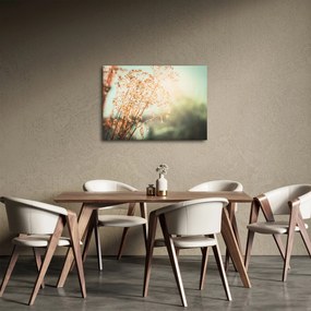 Kép - Növények eső után (70x50 cm)
