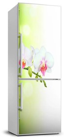 Hűtőre ragasztható matrica Orchidea és bambusz FridgeStick-70x190-f-82165838