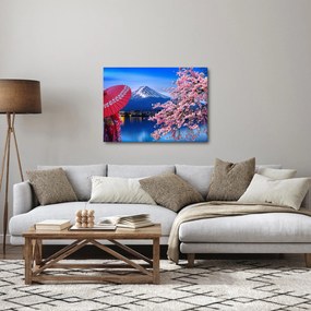 Kép - Kilátás a csúcsra, Japán (70x50 cm)