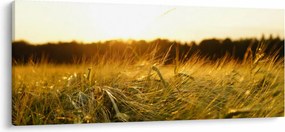 Harmatos fű képe (120x50 cm)